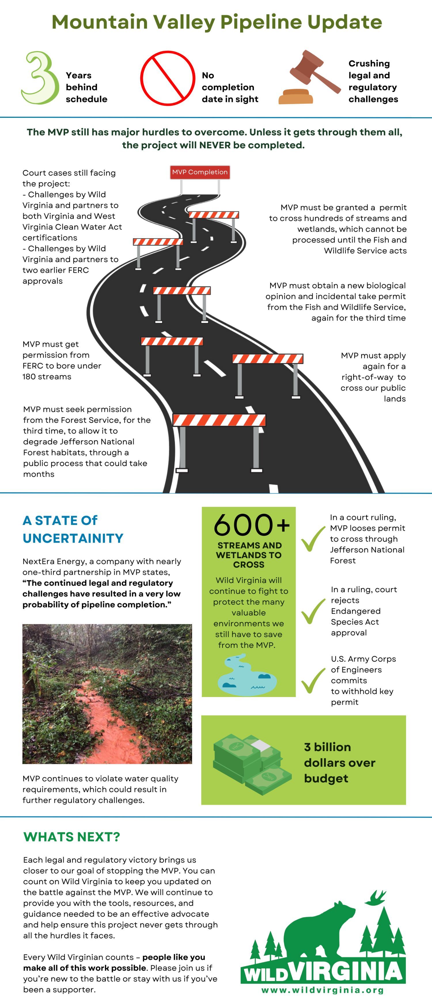 Click here to view the infographic!